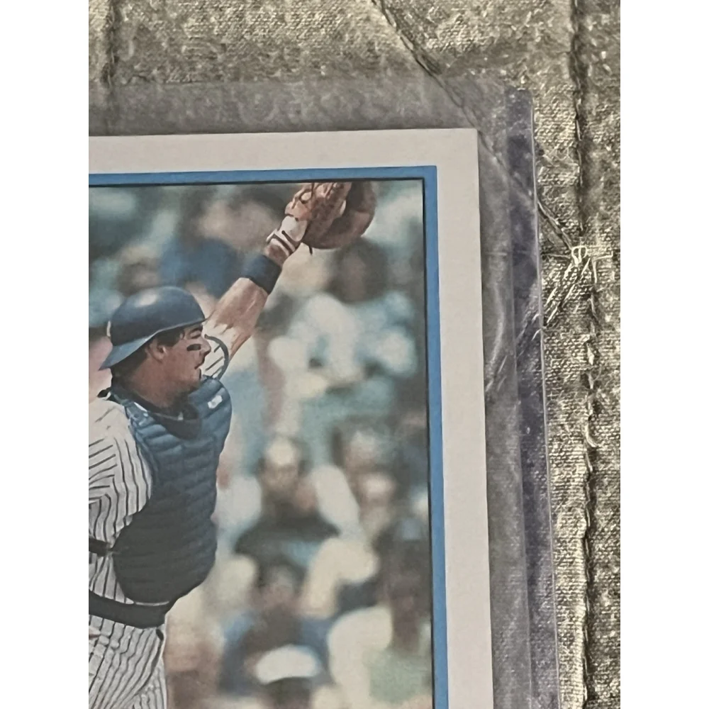 Damon Berryhill Chicago Cubs 1989 Topps Baseball Card